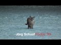 Joerg Schaaf Flyday 99