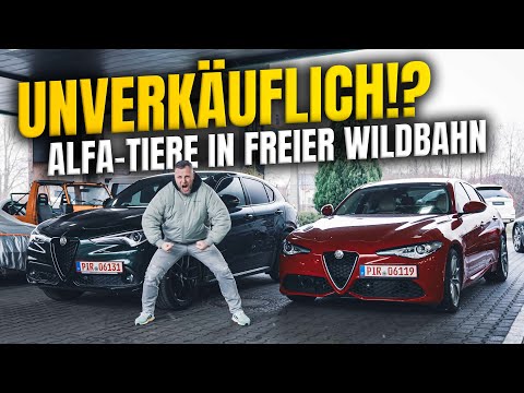 Der meist gehasste Gebrauchtwagen Deutschlands? Vor dieser Marke haben Autohändler Angst? Alfa Romeo