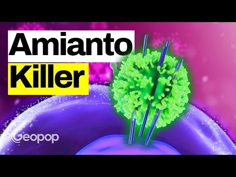 Amianto: da fibra milleusi a killer. Perché causa malattie e come mai era così utilizzato in passato