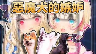 😰最會忌妒的惡魔犬？！只能關心這兩隻狗勾？💥身為前輩的FUWAMOCO要好好的教導其他狗什麼是「禮儀」？🩵🩷【FUWAMOCO/Nerissa/Shiori】【hololive中文精華】
