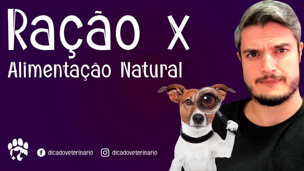 RAÇÃO BOA E BARATA PARA CACHORRO OU ALIMENTO NATURAL PARA CÃES COMO DEIXAR CÃO FORTE E GORDO EM CASA