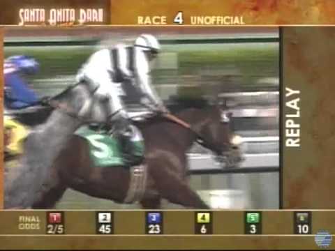 2011 Ancient Title Stakes