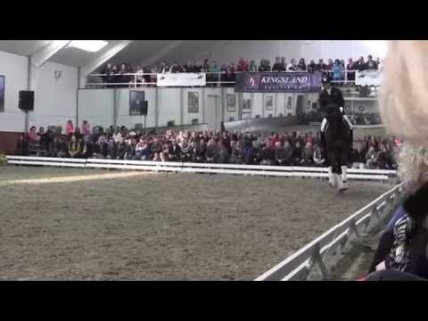 Vincent Maranello - Helgstrand Dressage Stallion show 2015