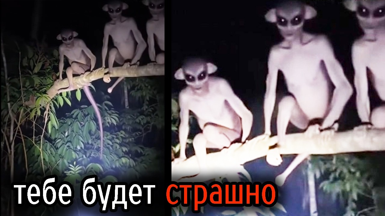 Самые Ужасные Видео со Всего Мира #91