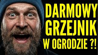 Luty w ogrodzie: Jak zamienić glebę w baterię termiczną? Za DARMO!