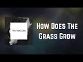 David Bowie - How Does The Grass Grow (Lyrics)