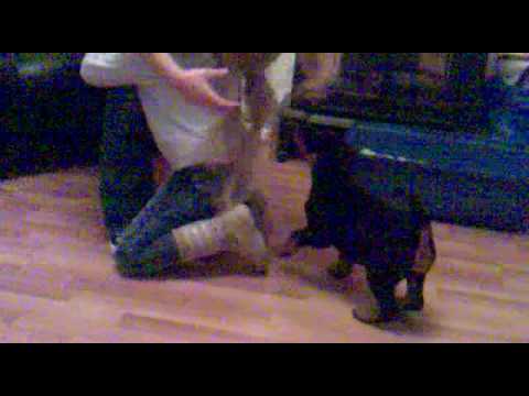 elisha gets a suprise off the dog!!!!