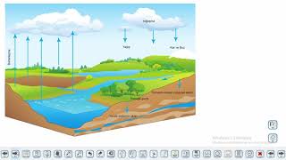 Eğitim Vadisi 9.Sınıf Kimya 16.Föy Maddenin Halleri Konu Anlatım Videoları