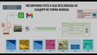 DESCARGAR FOTOS NO SINCRONIZADAS Y SUBIRLAS MANUALMENTE A SGA SEPTIEMBRE 2025