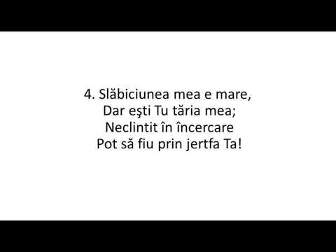 La însângerata-Ţi cruce - video