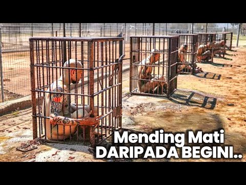 Narapidana Disini Mengaku Lebih Baik Mati Daripada Masuk Penjara Itu Lagi..