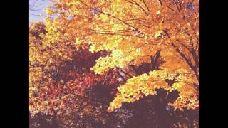 Beautiful Day (Cover) - Mike + The Mechanics