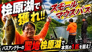 【バス釣り】スモールマウスバスを釣りたい！バスアングラーの聖地・桧原湖で本気の1匹を狙え！