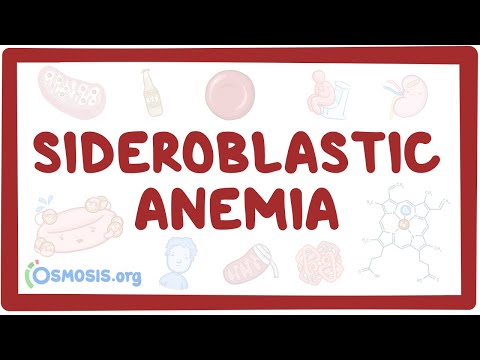 Rheumatic fever heart disease an Osmosis Preview