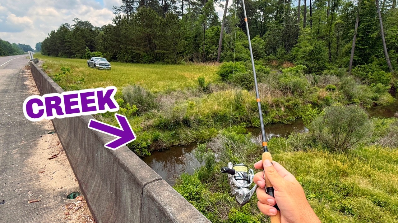 FINALLY Creek Fishing in LOUISIANA!!