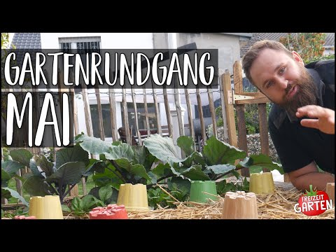 , title : 'Gartenrundgang Mai 2022 | Viel pflanzen auf wenig Fläche! | Freizeit Garten'