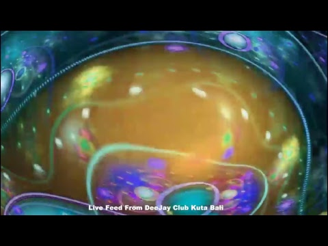 deejayclub bali Live Stream