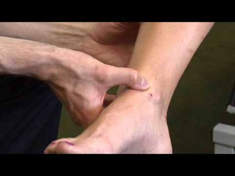 Foot and ankle overview