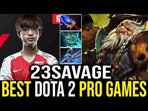 23Savage - Lone Druid | Dota 2 Pro Gameplay [Learn Top Dota]