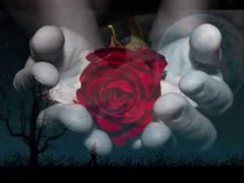 POBRE GORRION     VICKY DE COLOMBIA