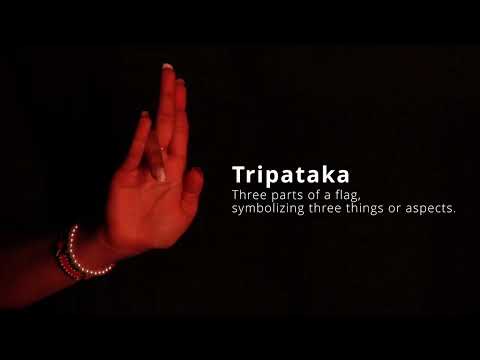 Single Hand Mudras in Bharatanatyam: Expressions Defined