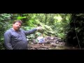 Ecosystems 6: Steve Thomas on canopy clearing