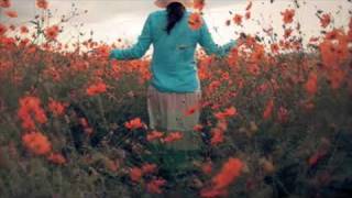 Tout feu,tout flamme "les coquelicots"