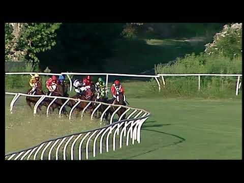 Napoli Galoppo 20/08/2021 - 1ª corsa