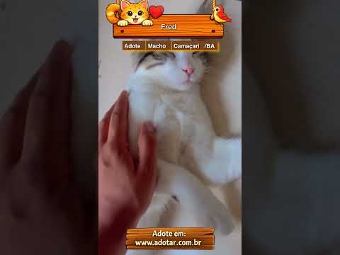 Vídeo de Fred