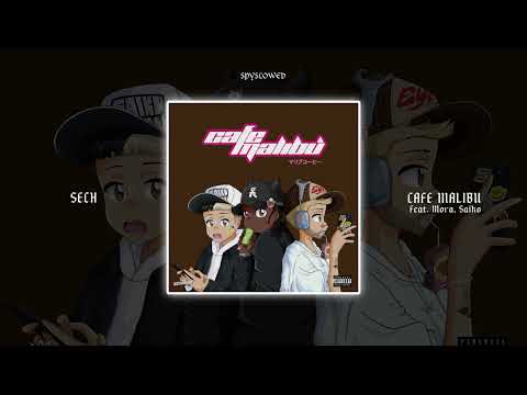 Cafe Malibú | Sech (slowed + reverb)