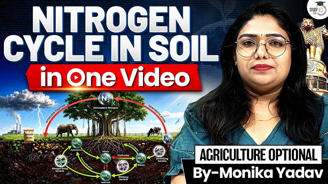 Nitrogen Cycle in Soil Explained in One Video | Agriculture Optional | By Monika Ma'am | StudyIQ