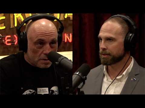 JRE Clips: David Grusch on recovered craft and types of beings