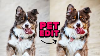 How to Edit Pet Photos in Photopea!