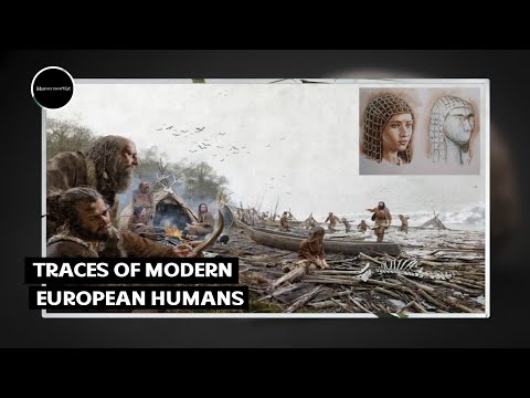 Gravettian culture - European history