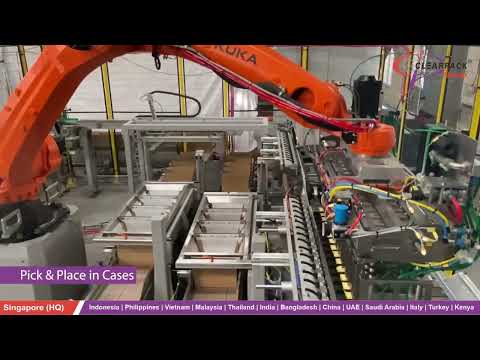 Top Load Robotic Case Packer for Soaps- Clearpack Group