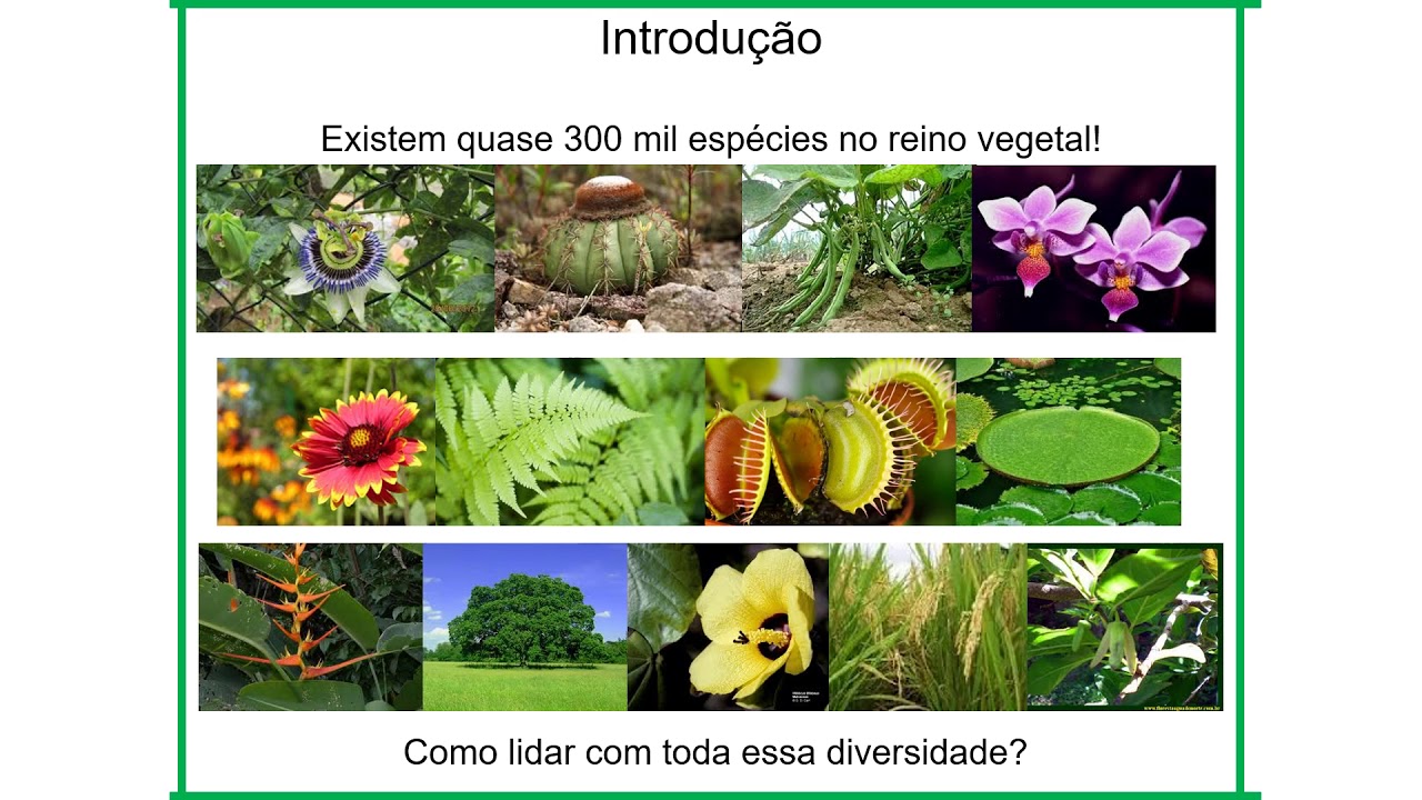 Parte 1 Introdução a Sistemática Vegetal e Nomenclatura Botânica