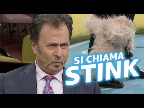 Il ginoc-cane del Mago Forest a LOL2