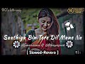 Saathiya Bin Tere Dil Mane Na Kumarsanu Alkayagnik Slowed Reverb Lo Fi Song Lofi