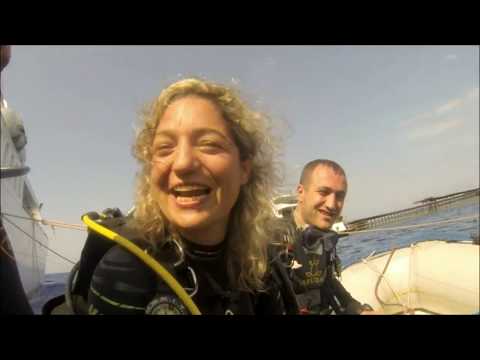 Karışık Kızıldeniz Videolarımız