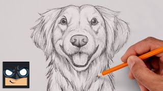 How To Draw a DOG | GOLDEN RETRIEVER