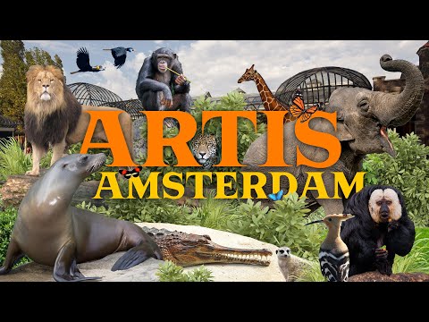 ARTIS Amsterdam - a must-see capital zoo? | Zoo Review