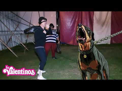 ROBAN EN CIRCO LOS VALENTINOS