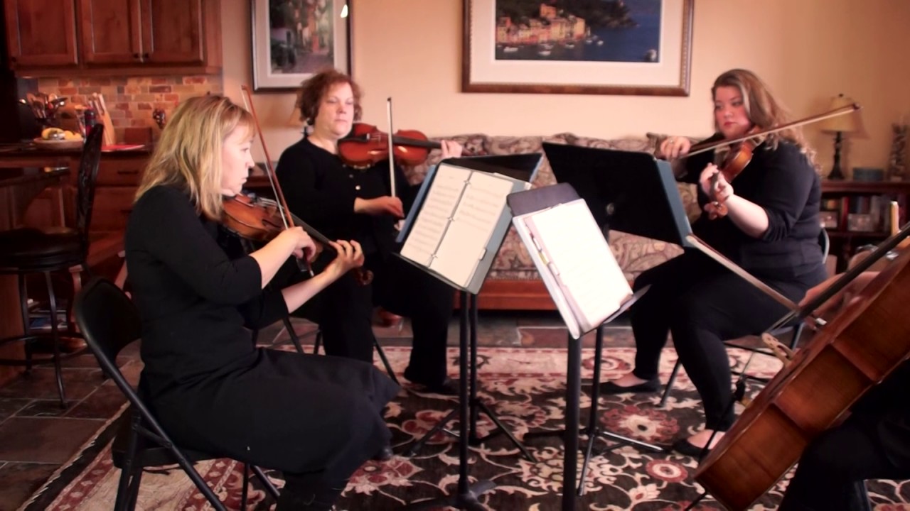 Promotional video thumbnail 1 for Ovation String Quartet