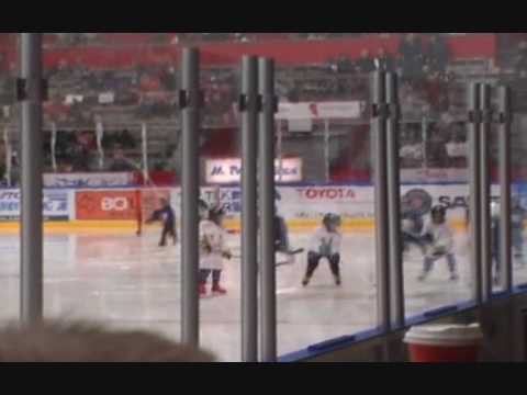 Björnligan LHC P-02