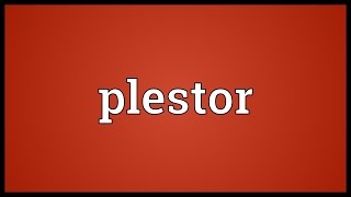 Download lagu Plestor Meaning... mp3