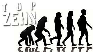 10 komische Fakten über die Evolution