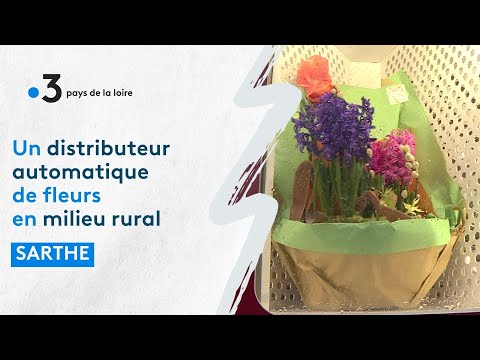 Distributeur automatique de fleurs ? Modèle LEDISTRIB FLEURS 21 casiers_5