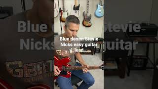 Blue denim Stevie Nicks easy guitar lead￼