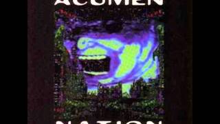 Acumen Nation - Chameleon Skin
