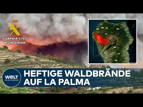 VERHEERENDE WALDBRÄNDE auf La Palma: Mehr als 4600 Menschen mussten vor dem Feuer flüchten